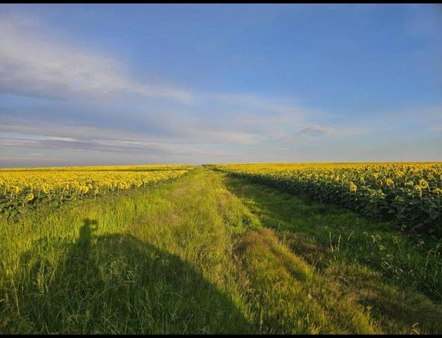FARM FOR SALE IN BETHLEHEM RURAL